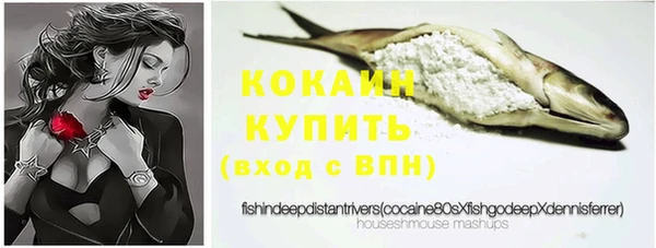 молекула духа Лабытнанги