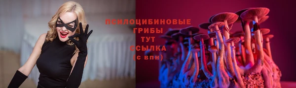молекула духа Лабытнанги