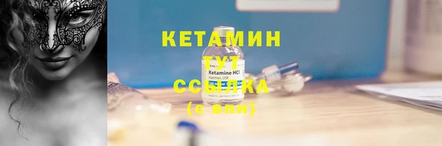 молекула духа Лабытнанги