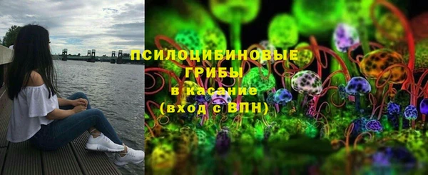 МДПВ Ладушкин