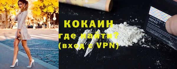 дживик Лагань