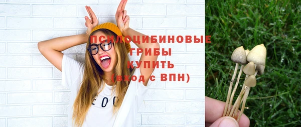 дживик Лагань