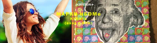 сатива Кулебаки