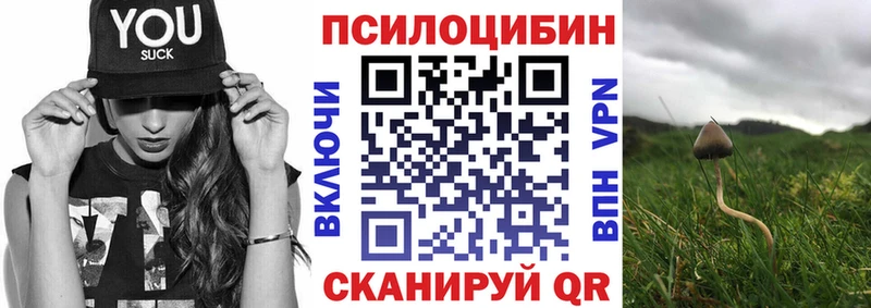 ссылка на мегу   Куртамыш  Псилоцибиновые грибы Psilocybine cubensis 